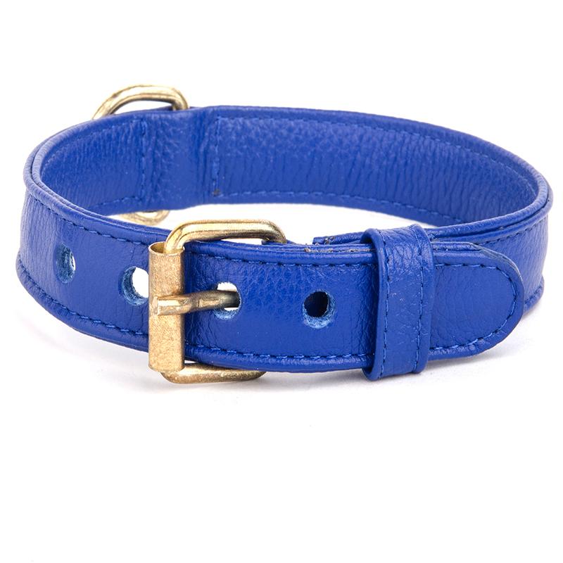 Collar para perro Azul Eléctrico