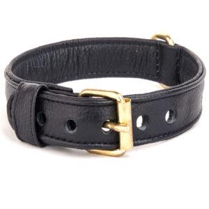 Collar para perro