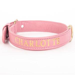 Collar para perro