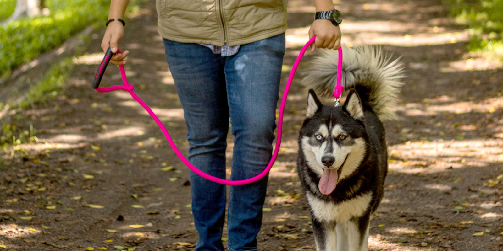 Cosas que debes de hacer si eres dueño responsable de tu mascota